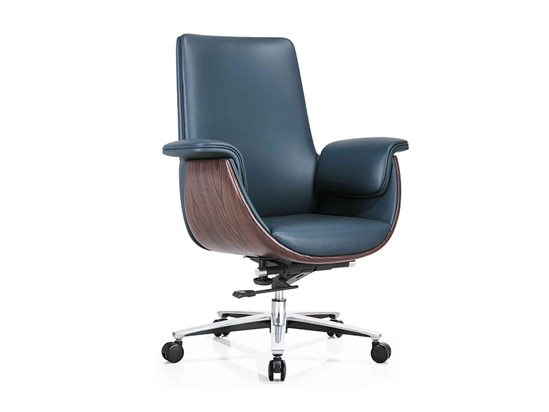Meeting chair